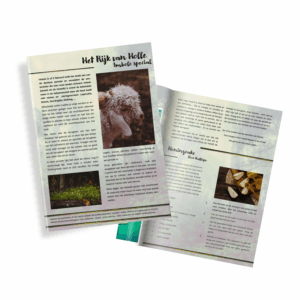 HRvH Magazine - Imbolc Special 2022