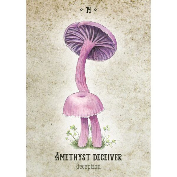 Mushroom Spirit Oracle - Afbeelding 4