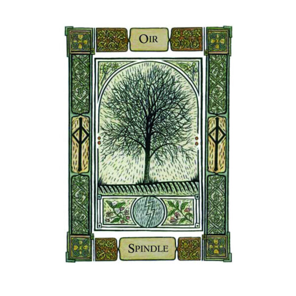 The Celtic Tree Oracle - Afbeelding 3