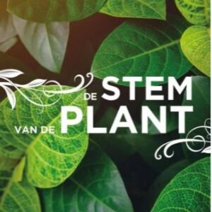 De stem van de plant