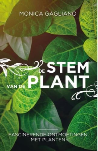 De stem van de plant