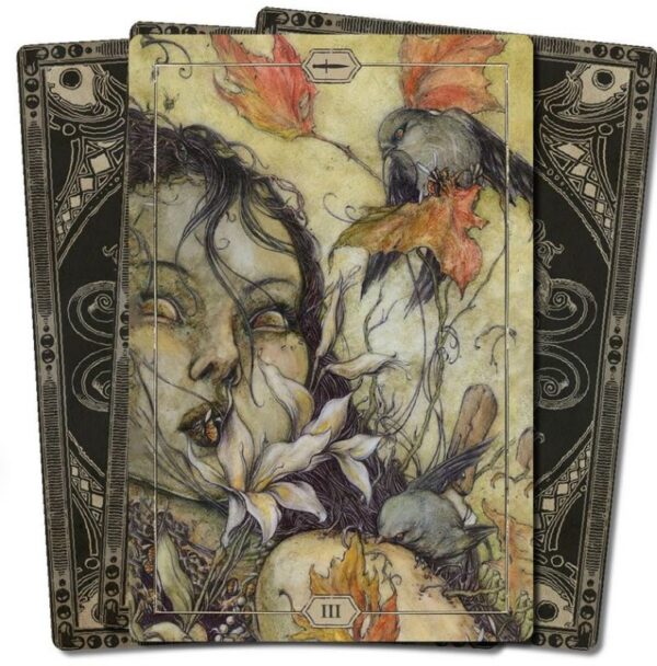 Hush Tarot - Afbeelding 6