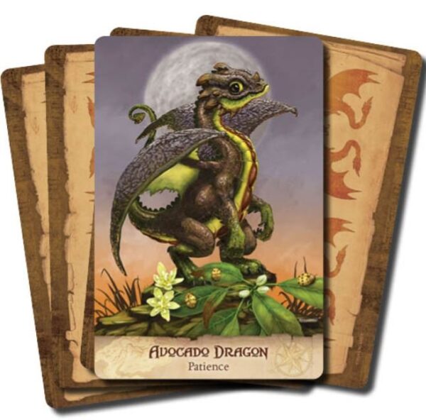 Field Guide to Garden Dragons - Afbeelding 4